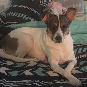 Meet your Posher, Janelle